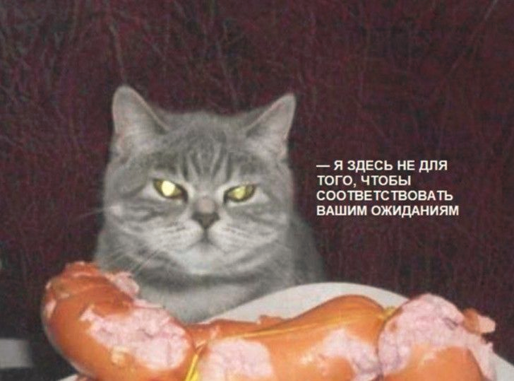 1657484321600.png