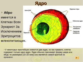 1665055326800.png