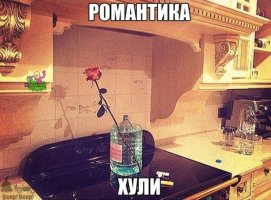 1668240364.jpg