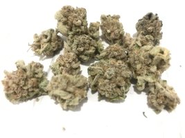 IMG_7180.cleaned.cleaned.JPG