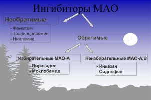классимао.jpeg классимао.jpeg