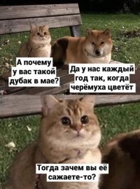 d1871e9c-5c07-4f03-9d2d-59908fc9acb3.jpg