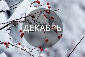 1545124653_1.jpg