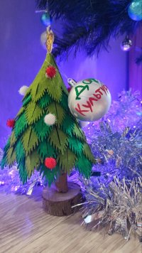 IMG_20221217_143248_755.jpg