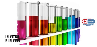 in vitro и in vivo.jpg in vitro и in vivo.jpg