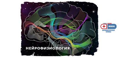 Нейрофизиология.jpg Нейрофизиология.jpg