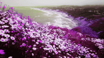 3e3be567424847d99aed66b8775a7fe6.gif