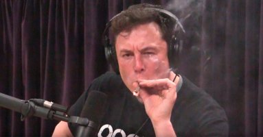 elon_musk_smoking_weed_dtf_header.jpg elon_musk_smoking_weed_dtf_header.jpg