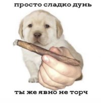 8e3b6ee69aa3e8f9ba9a5707f46dca8c.jpg
