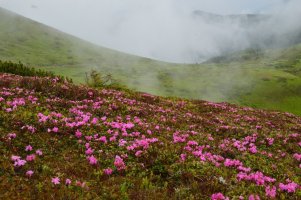 IMG_20230302_221352_762.jpg