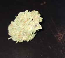 IMG_20230309_174853.jpg