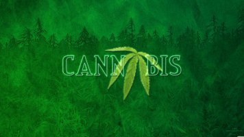 chill-green-cannabis-ai8xmi8l9ywhdoz2.jpg chill-green-cannabis-ai8xmi8l9ywhdoz2.jpg