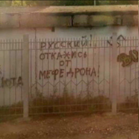 1679588997124.png
