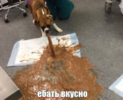 1679996347526.png