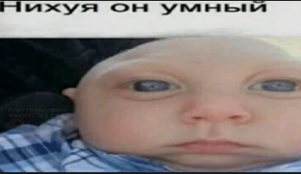 1680517252156.png