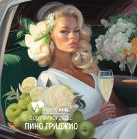 1681908391727.png