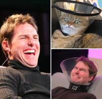1682415783820.png