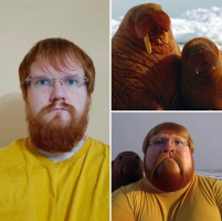 1682415812004.png