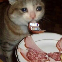 1683883837870.png