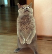 IMG_7967.jpeg