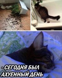 17549782.jpg