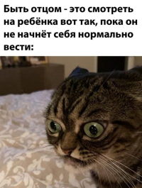 1684314987176.png