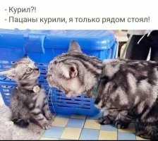 24RC.bizScreenshot_2023-05-18-12-18-09-228_ru.ok.android-edit.jpg
