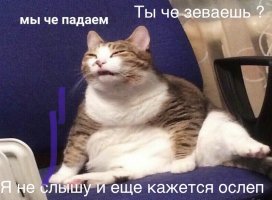 IMG_8166.jpeg
