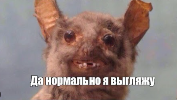 1685008202394.png