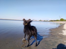 IMG_20230527_083655.jpg