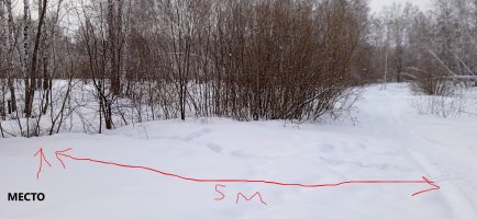 IMG_20230223_131319_1111.jpg