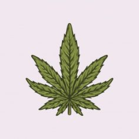 1686283506166.png