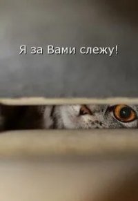 я слежу.jpg