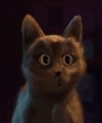 animation.gif.gif