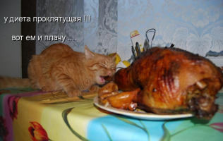 1687519665501.png