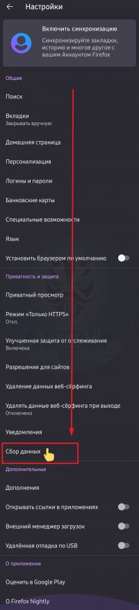 5_2.jpg