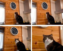 1692006689073.png