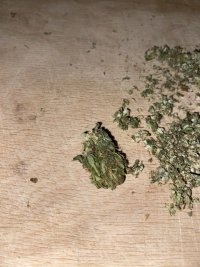 IMG_3571.jpeg