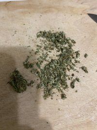 IMG_3570.jpeg