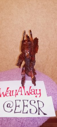 IMG_20231229_203327_695.jpg
