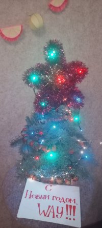 IMG_20231231_171248_019.jpg