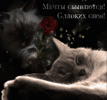gifkispokoinoi-noch9777.gif