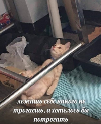 1716196603099.png