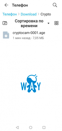 5_5.png 5_5.png