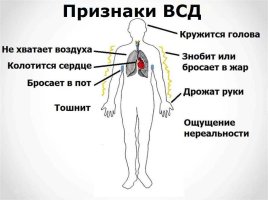 всд.jpg всд.jpg