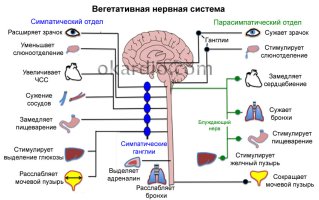 всд1.jpg всд1.jpg