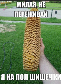 1734490955375.png