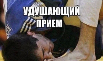 1734491268098.png