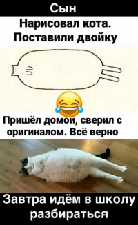 1734491704923.png