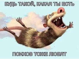 1734491846259.png